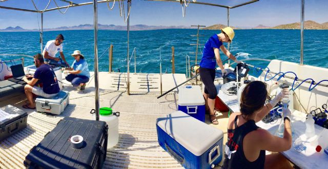 La Comunidad concluye la tercera campaña de caracterización físico-química, de corrientes y estado ecológico del Mar Menor - 2, Foto 2