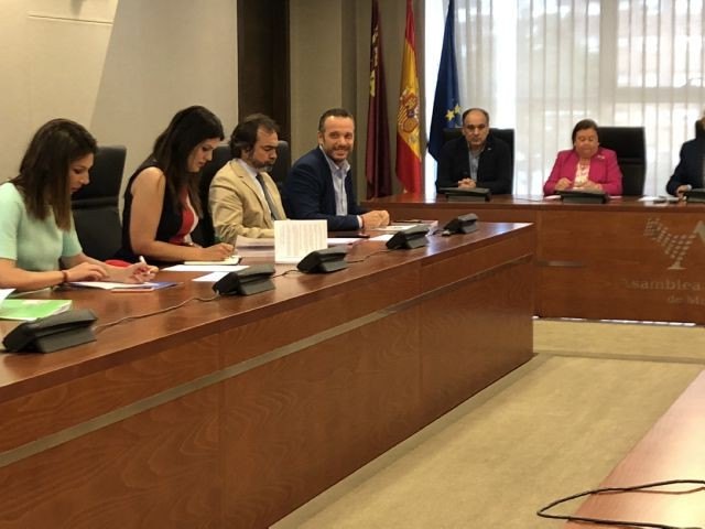 El debate de investidura de Fernando López Miras como presidente de la Región de Murcia será el 1 y 2 de julio - 1, Foto 1