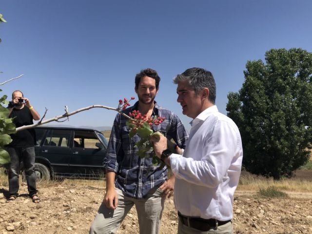 Agricultura recibe 856 solicitudes de ayudas para la modernización de explotaciones agrarias y ganaderas - 1, Foto 1