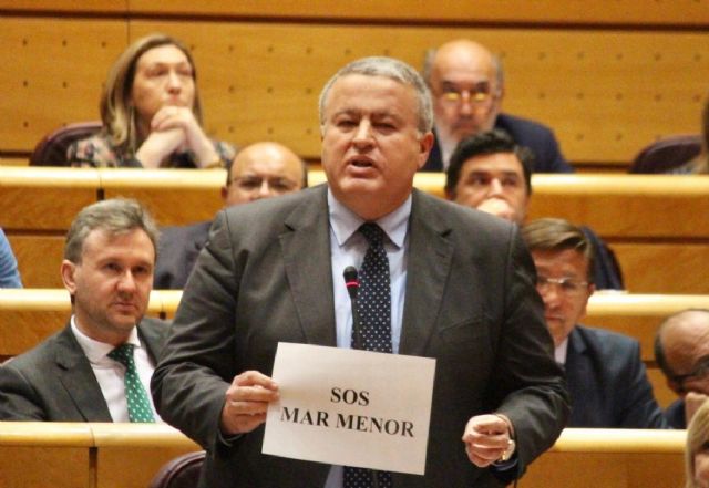 Bernabé: Conesa reconoce abiertamente que el Gobierno de España no ha hecho nada por la recuperación del Mar Menor - 1, Foto 1