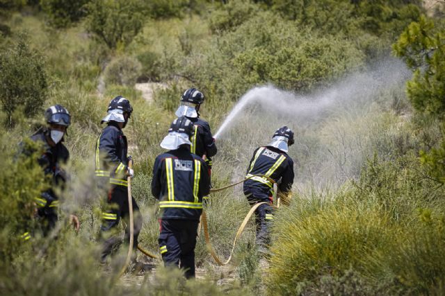 Simulacro de incendio forestal con la participación de 15 bomberos del CEIS en formación - 2, Foto 2
