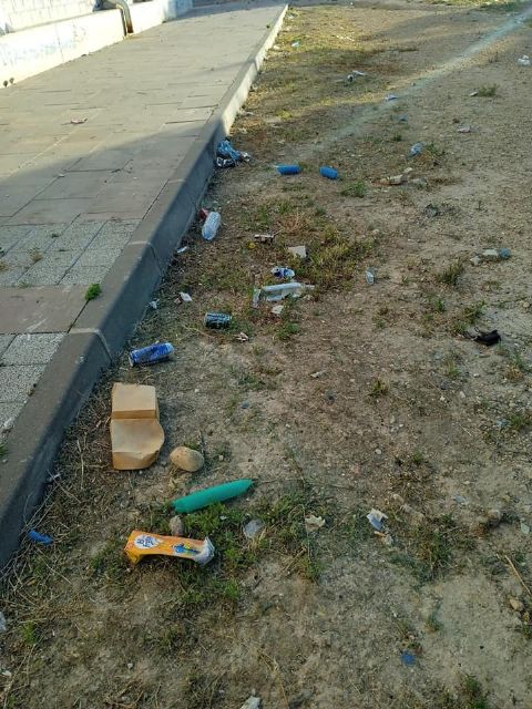 El PP denuncia que Las Torres de Cotillas se encuentra en estado extremo de abandono - 5, Foto 5