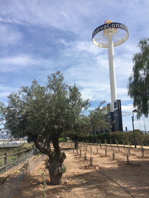 Nueva Condomina celebra la gran gala 1OOOLIVES® para reconocer la labor de todos los implicados en esta iniciativa solidaria y medioambiental - 2, Foto 2