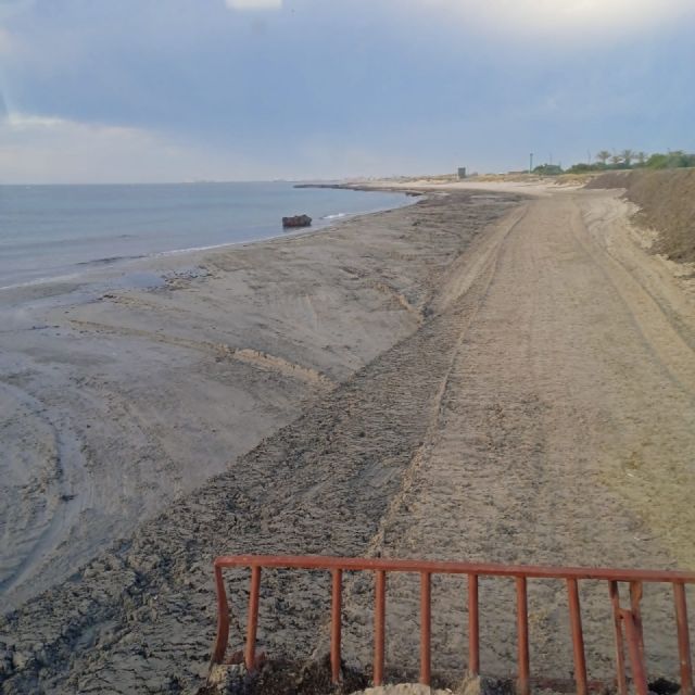 Retiran posidonia de las playas del Mediterráneo para mejorar el acceso al baño y reforzar los cordones dunares - 1, Foto 1
