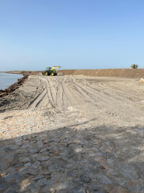 Retiran posidonia de las playas del Mediterráneo para mejorar el acceso al baño y reforzar los cordones dunares - 2, Foto 2