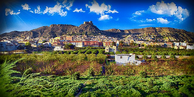 Actuaciones municipales frente a la plaga de chinche del campo - 1, Foto 1