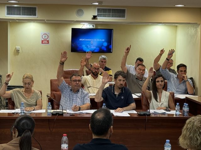 El Partido Popular de Águilas propone ampliar y modernizar el alumbrado público del municipio y el PSOE lo rechaza - 1, Foto 1