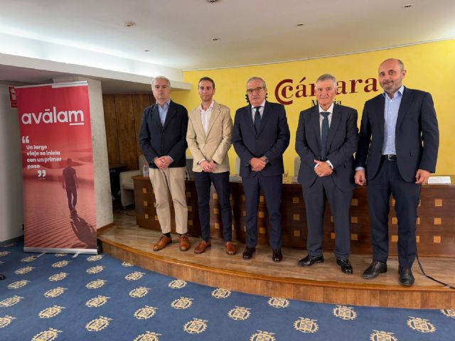 Av�lam respalda m�s de 2.500 proyectos empresariales en la Regi�n con 218 millones de euros