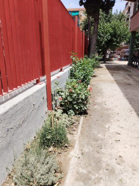 Renaturalizar patios escolares para combatir el calor: El Oasis del CEIP San Pío X - 2, Foto 2