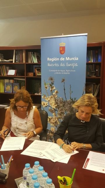 La Consejería y la asociación Hippocampus colaboran en la recuperación del caballito de mar en el Mar Menor - 2, Foto 2