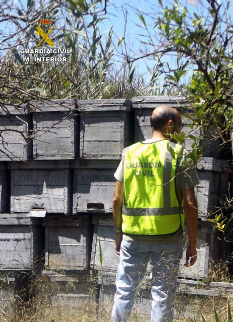 La Guardia Civil sorprende in fraganti a una persona cuando sustraía colmenas en un asentamiento apícola - 1, Foto 1