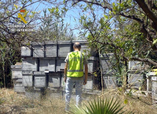 La Guardia Civil sorprende in fraganti a una persona cuando sustraía colmenas en un asentamiento apícola - 2, Foto 2