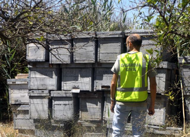 La Guardia Civil sorprende in fraganti a una persona cuando sustraía colmenas en un asentamiento apícola - 3, Foto 3
