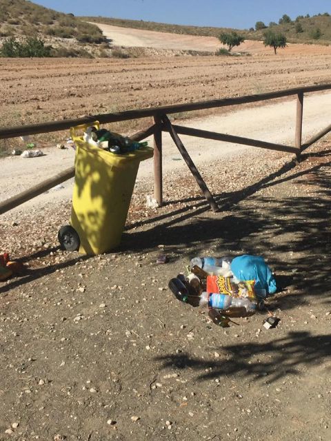 El PSOE pide que se incrementen las tareas de limpieza y mantenimiento de la playa artificial de Coy para propiciar su impulso turístico - 1, Foto 1