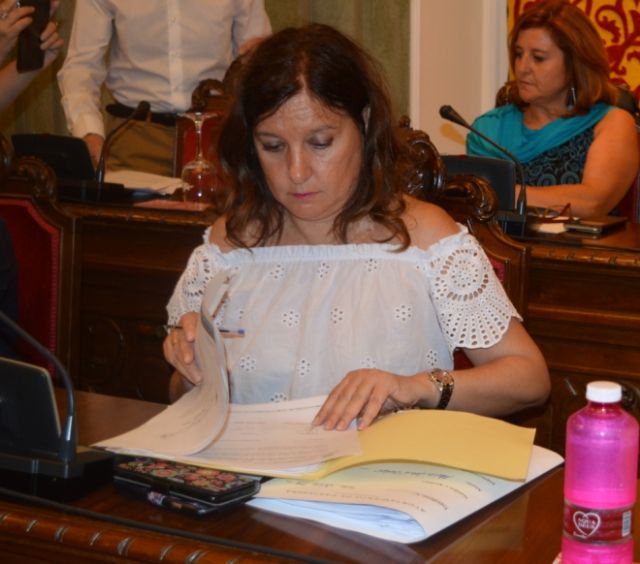 El Pleno acuerda una reprobación histórica a los responsables políticos del PP por el sobrecoste del Auditorio El Batel - 4, Foto 4