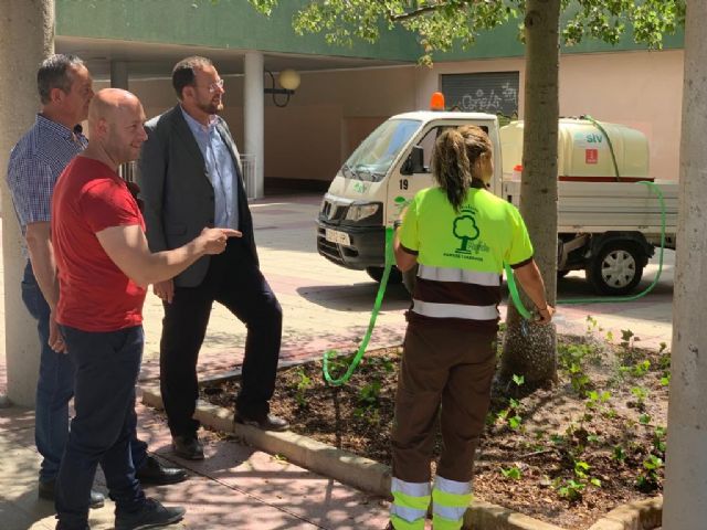 El Ayuntamiento revisa los ejemplares de pino y eucalipto para aplicar tratamientos de endoterapia - 1, Foto 1