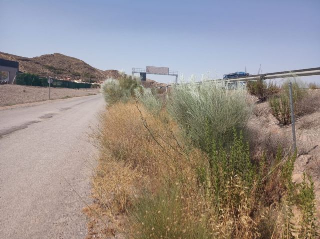 El grupo municipal del Partido Popular en Puerto Lumbreras llevará a pleno una moción para el desbroce de cunetas en A7 y A92 - 1, Foto 1