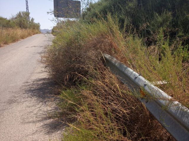 El grupo municipal del Partido Popular en Puerto Lumbreras llevará a pleno una moción para el desbroce de cunetas en A7 y A92 - 2, Foto 2