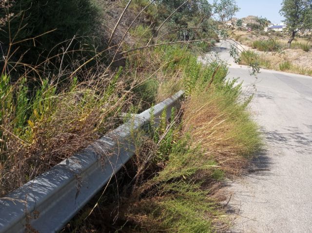 El grupo municipal del Partido Popular en Puerto Lumbreras llevará a pleno una moción para el desbroce de cunetas en A7 y A92 - 3, Foto 3