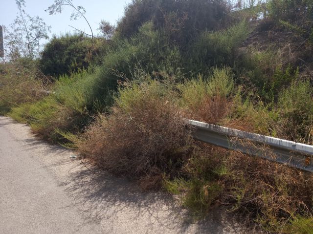El grupo municipal del Partido Popular en Puerto Lumbreras llevará a pleno una moción para el desbroce de cunetas en A7 y A92 - 5, Foto 5