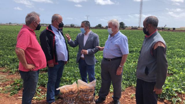 Jesús Cano: En la próxima PAC nos jugamos mucho y no vamos a aceptar un documento que perjudique a los agricultores y ganaderos de la Región - 1, Foto 1