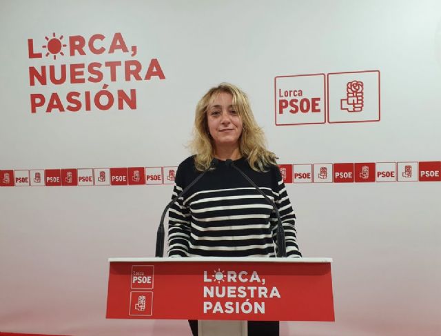 El PSOE propone recuperar la Casa de los Guevara para albergar el Museo de la Cultura Argárica y seguir trabajando en la conservación del patrimonio y la cultura de Lorca - 1, Foto 1