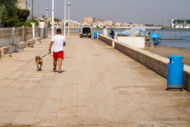 La Ordenanza de Playas no prohibirá el tránsito de mascotas por los paseos marítimos - 1, Foto 1