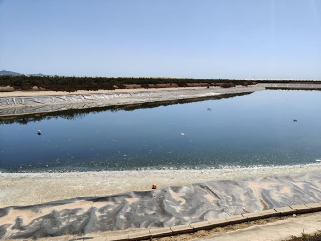 Denuncian que estn llenando el lago de Condado de Alhama con agua potable, Foto 4