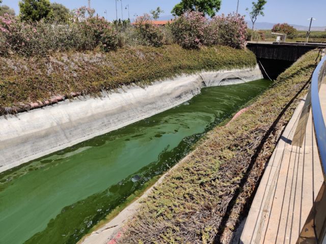 Denuncian que estn llenando el lago de Condado de Alhama con agua potable, Foto 6