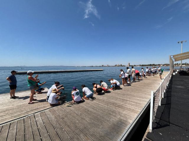 Más de 30 familias participan en la jardinería de ostras para mejorar la salud del Mar Menor - 1, Foto 1