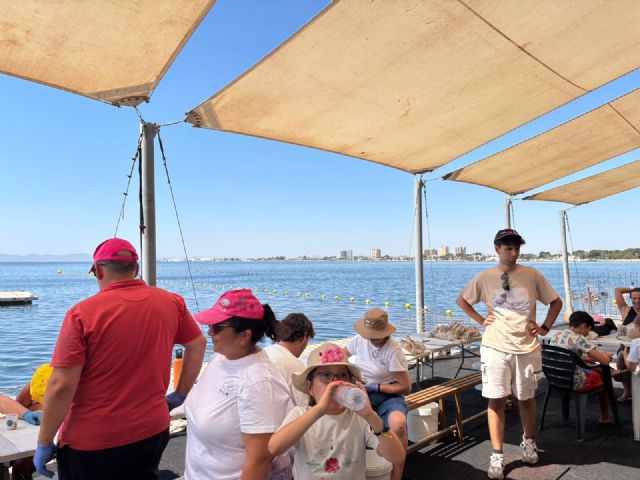 Más de 30 familias participan en la jardinería de ostras para mejorar la salud del Mar Menor - 2, Foto 2