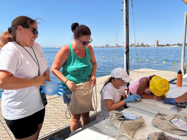 Más de 30 familias participan en la jardinería de ostras para mejorar la salud del Mar Menor - 3, Foto 3