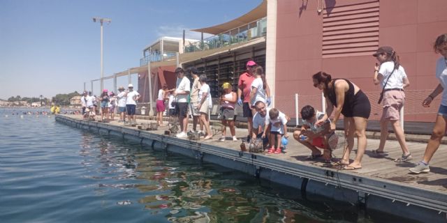 Más de 30 familias participan en la jardinería de ostras para mejorar la salud del Mar Menor - 5, Foto 5