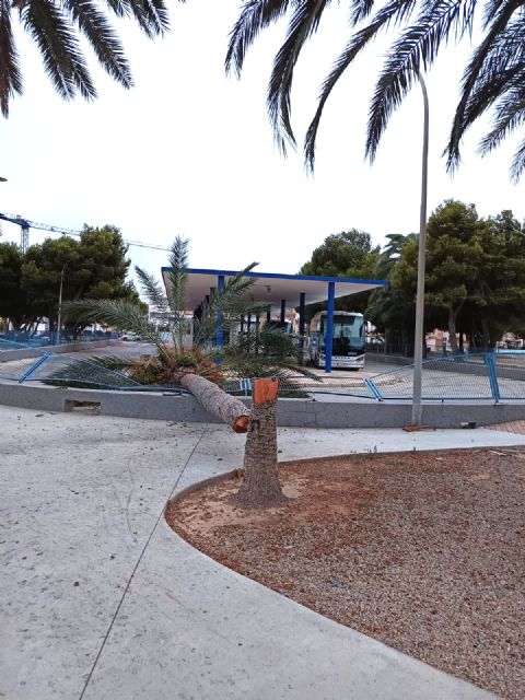 San Pedro del Pinatar registra más de 50 l/m² en pocas horas durante la madrugada del 25 de julio - 3, Foto 3