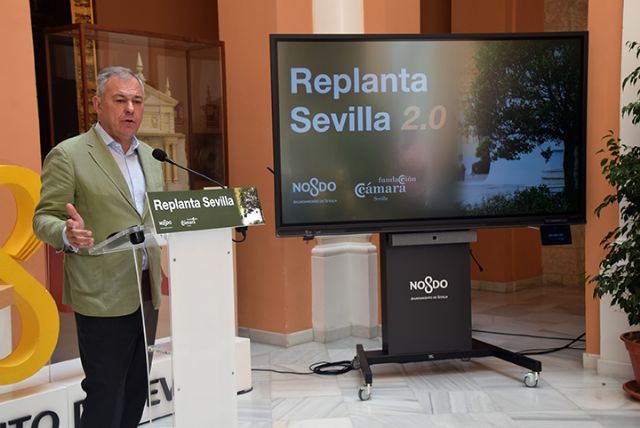 Ayuntamiento y Cámara de Comercio se unen en Replanta Sevilla 2.0 para reverdecer la ciudad - 2, Foto 2