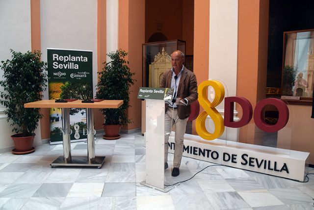 Ayuntamiento y Cámara de Comercio se unen en Replanta Sevilla 2.0 para reverdecer la ciudad - 5, Foto 5