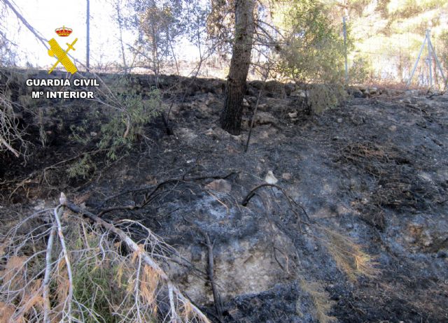 La Guardia Civil investiga a un vecino de Bullas por ocasionar un incendio forestal por negligencia - 5, Foto 5