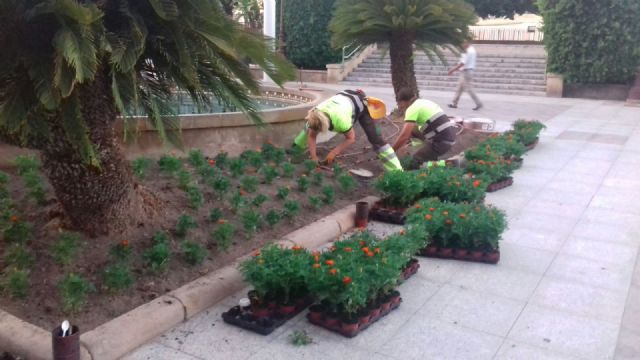 El Ayuntamiento planta más 323.000 flores de temporada en sólo seis meses - 1, Foto 1