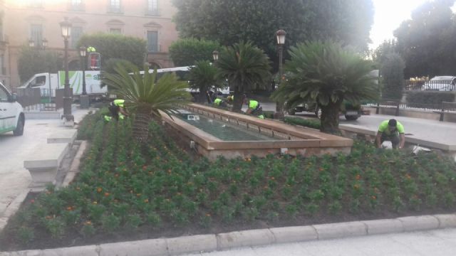 El Ayuntamiento planta más 323.000 flores de temporada en sólo seis meses - 2, Foto 2