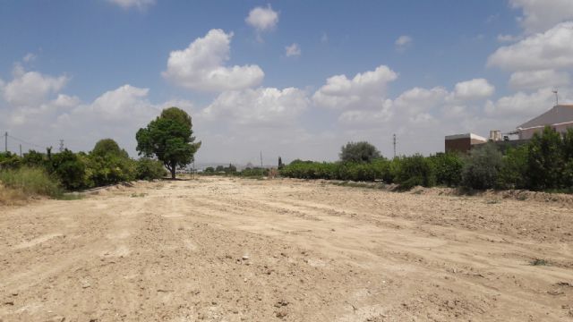 Ahora Murcia exige explicaciones por la gran olmeda de 30 ejemplares que puede ser arrasada por las obras de un enlace a la autovía del Reguerón - 5, Foto 5