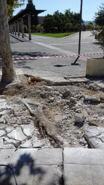 Parques y Jardines mejora el entorno del recinto ferial y del Auditorio Víctor Villegas de cara a la Feria de Septiembre - 2, Foto 2