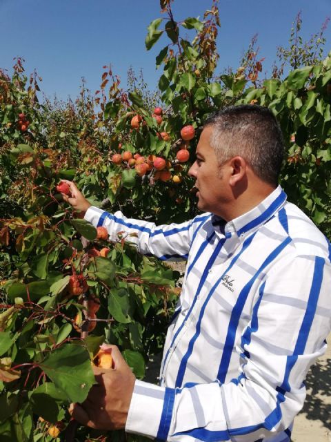 El PP demanda al Gobierno de España modificar el seguro agrario para que los agricultores puedan hacer frente a pérdidas por cualquier causa climatológica - 1, Foto 1