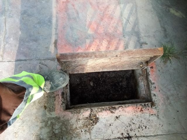 El Ayuntamiento lleva a cabo una campaña extraordinaria de limpieza de imbornales debido a la alerta amarilla por lluvias - 2, Foto 2