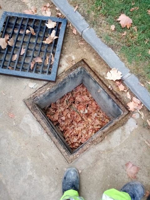 El Ayuntamiento lleva a cabo una campaña extraordinaria de limpieza de imbornales debido a la alerta amarilla por lluvias - 3, Foto 3