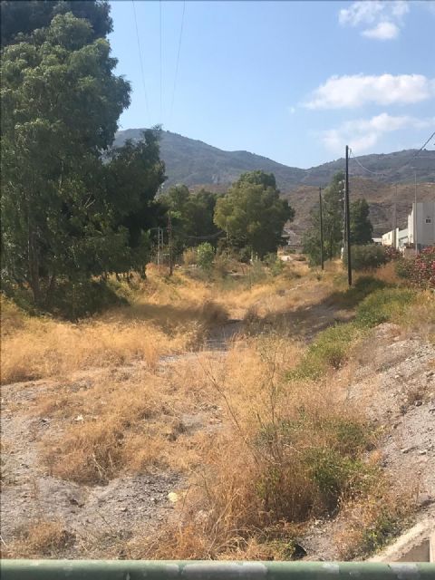 El Ayuntamiento de Lorca inicia una campaña de desbroce y limpieza de las ramblas de Las Chatas, Las Señoritas, Los Peñones y la del Cementerio - 1, Foto 1