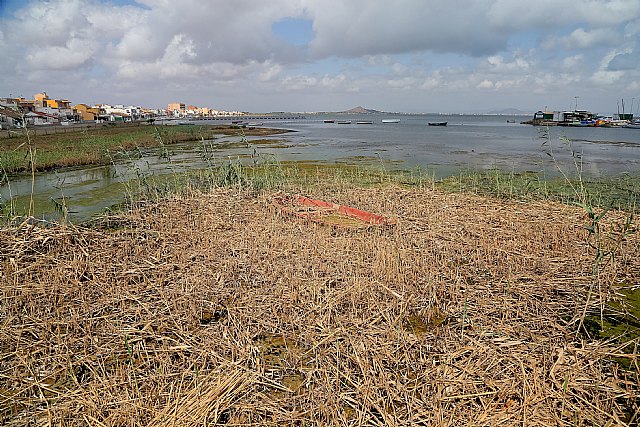 Proexport pide leal colaboración entre Gobierno de España y Regional para actuar ya en el Mar Menor - 1, Foto 1