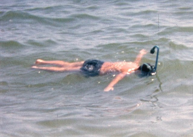 La memoria audiovisual del Mar Menor se expande a Internet - 3, Foto 3