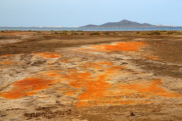 Antonio Urbina: Podemos es el único partido que siempre ha defendido la prohibición de nitratos - 1, Foto 1