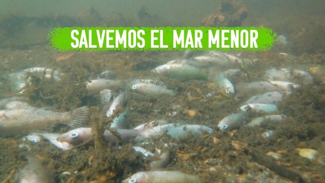 Catástrofe ambiental y social en el Mar Menor - 1, Foto 1