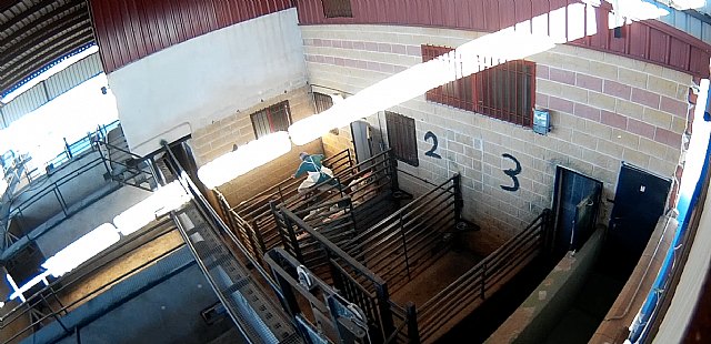 Equalia solicita al Gobierno modificaciones en el real decreto de cámaras en mataderos - 1, Foto 1